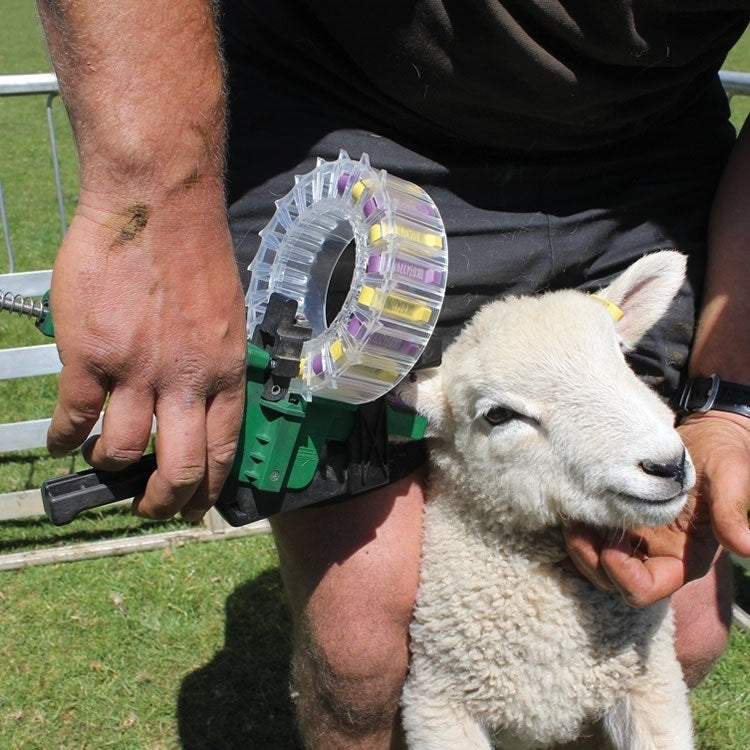 Shearwell TurboTagger