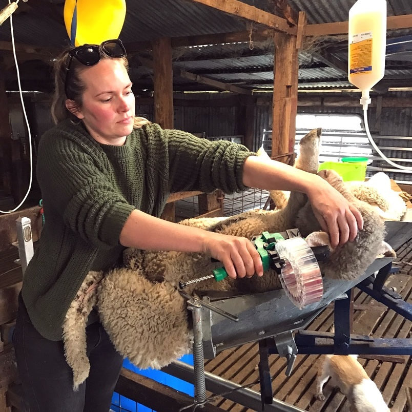 Shearwell TurboTagger