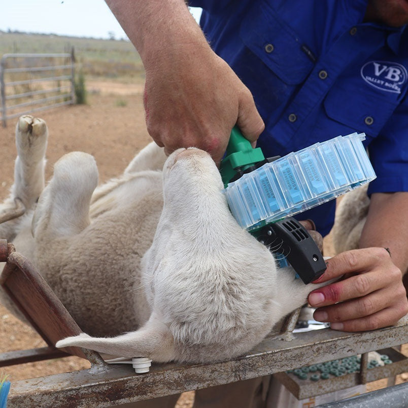 Shearwell TurboTagger