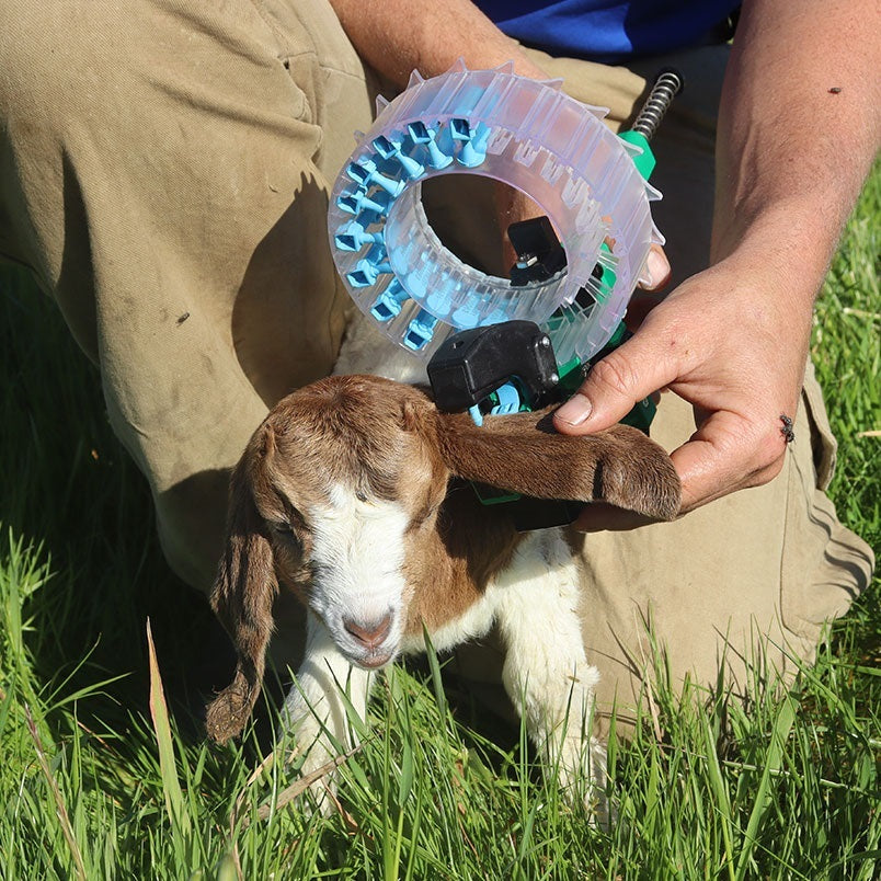 Shearwell TurboTagger