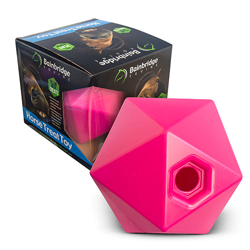 Horse Toy - Treat Ball (Small) - Pink