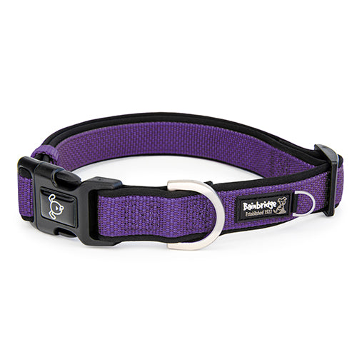 Premium Sport Dog Collar with Neoprene - XS - Purple