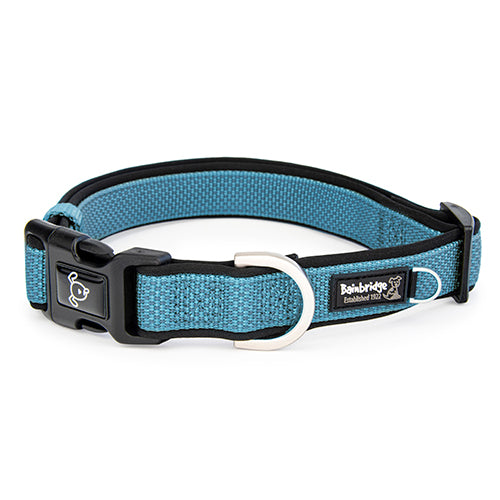 Premium Sport Dog Collar with Neoprene - M - Blue