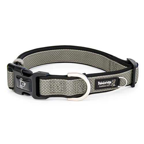 Premium Sport Dog Collar with Neoprene - M - Silver