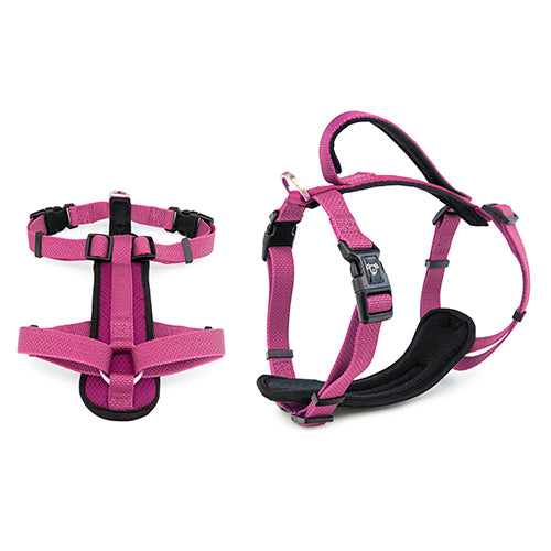 Premium Sport Dog Harness with Safety Handle - M - Pink