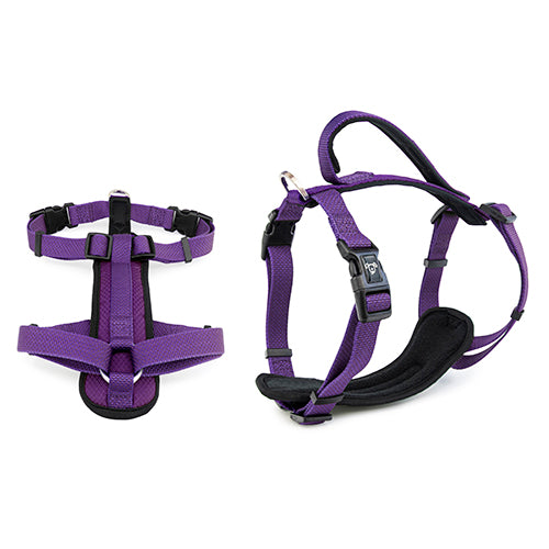 Premium Sport Dog Harness with Safety Handle - M - Purple