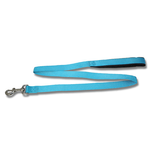 Dog Lead Webbed with Padded Handle (120cm x 25mm) Aqua