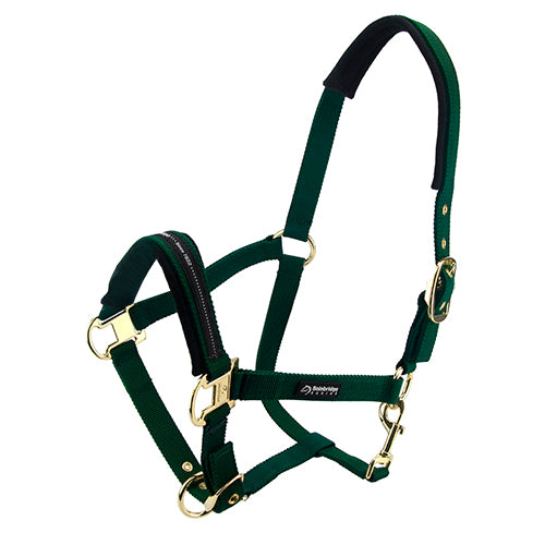 Horse Halter - Pony - Green
