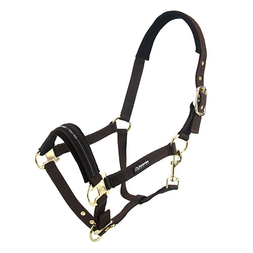Horse Halter - Cob - Brown