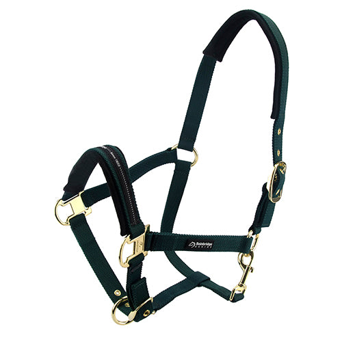 Horse Halter - Cob - Green