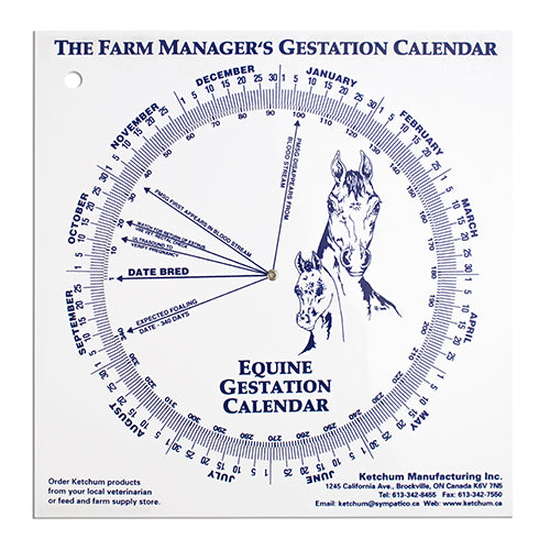 Gestation Calendar - Equine
