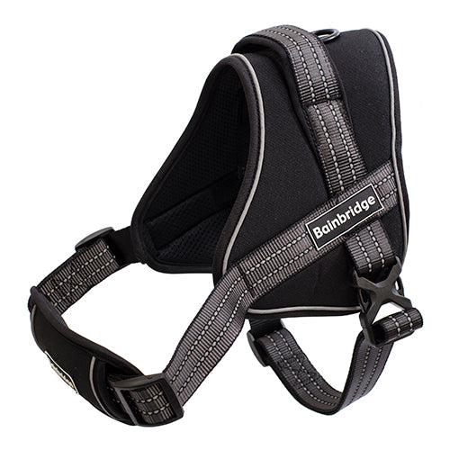 Sport Harness Adjustable Padded - Large
