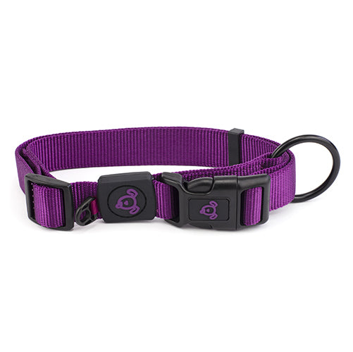 Nylon Dog Collar Premium - Small Purple