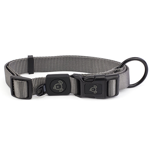 Nylon Dog Collar Premium - Medium Grey