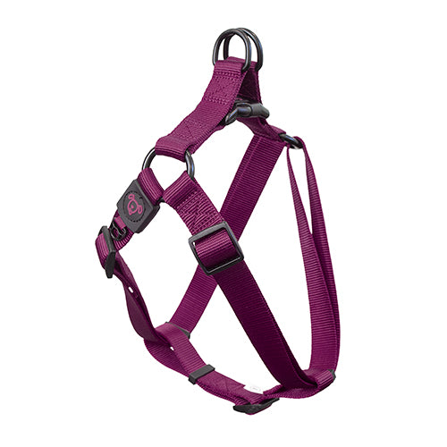 Nylon Step in Harness Premium - Large Purple