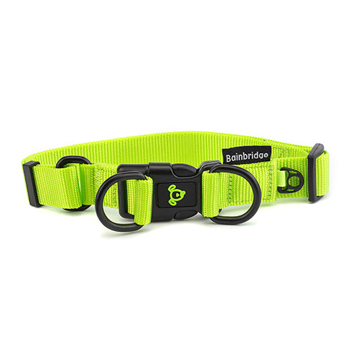 Nylon Double Ring Dog Collar Premium - Medium Green