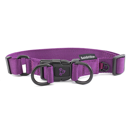 Nylon Double Ring Dog Collar Premium - Extra Large Purple