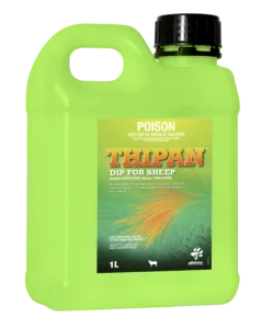THIPAN™ Dip for Sheep