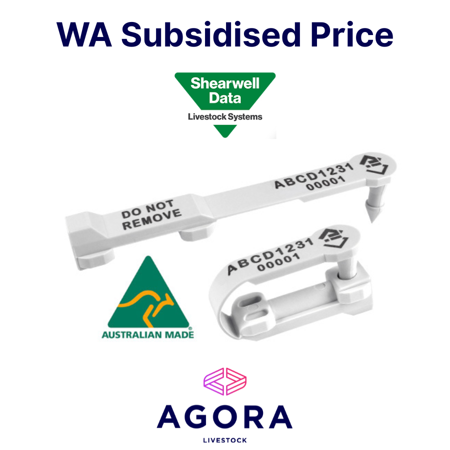 Shearwell NLIS EID Sheep Ear Tags - White (WA Subsidised)