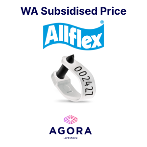 Allflex RapID NLIS Sheep EID EID Tags - White (WA Subsidised)
