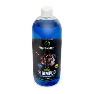 Show Shampoo