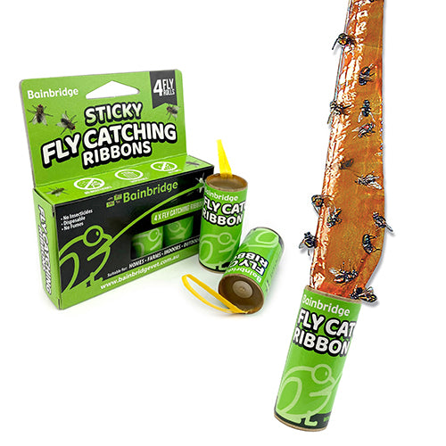 Sticky Roll Ribbon