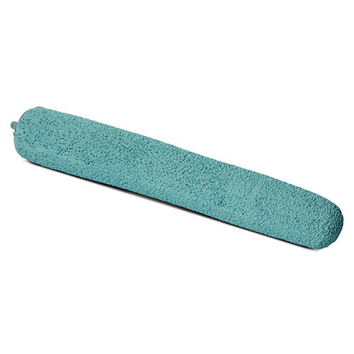 Bird Perch - Pumice Pedi - Large 39cm