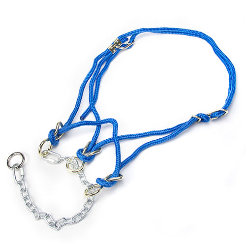 Hackamore Halter Bull - Blue