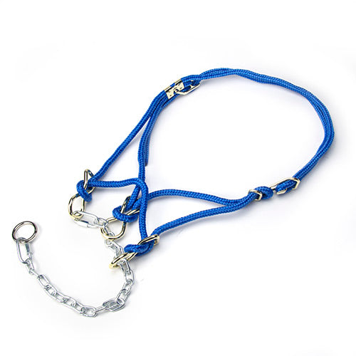 Hackamore Halter Cow - Blue