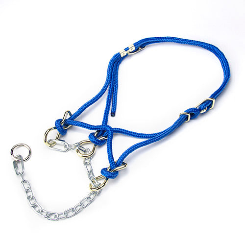Hackamore Halter Heifer - Blue