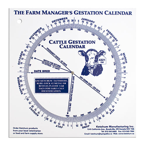 Gestation Calendar - Cow