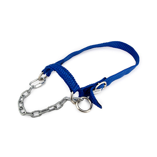 Halter Dexter Large (5 colours - call cust serv to confirm availability)