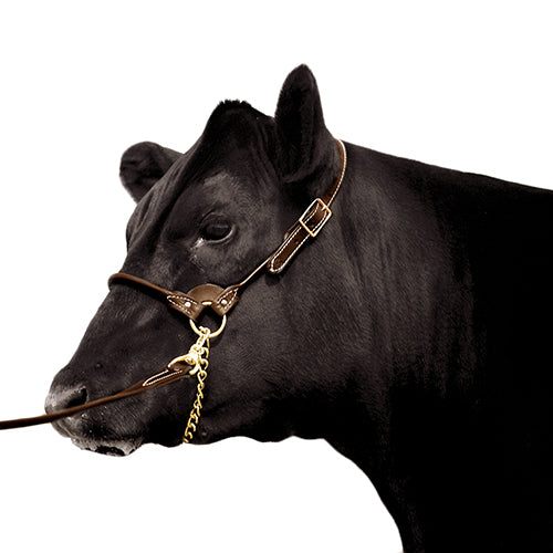 Leather Show Halter with Lead Medium (Tan)
