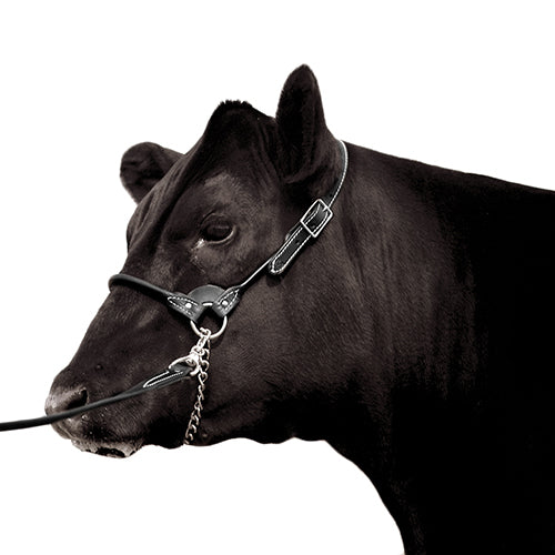 Leather Show Halter with Lead Small (Black)