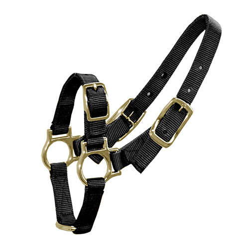 Halter for Sheep &amp; Goats - Black