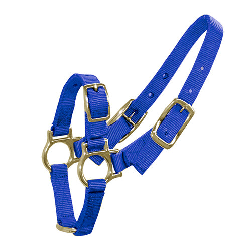 Halter for Sheep &amp; Goats - Blue
