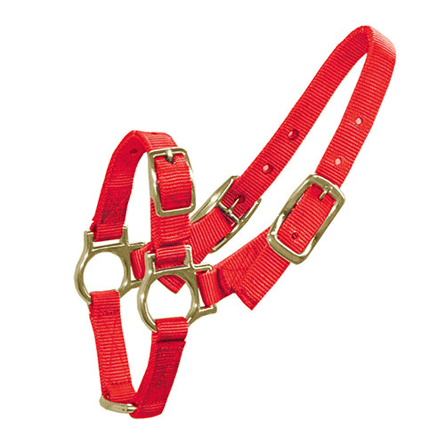 Halter for Sheep &amp; Goats - Red