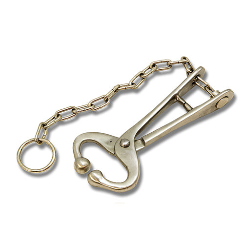 Bull Lead - Chain Type