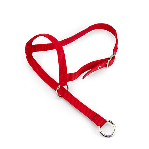 Halter Leading Calf - Red