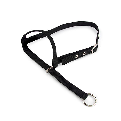 Halter Leading Cow - Black