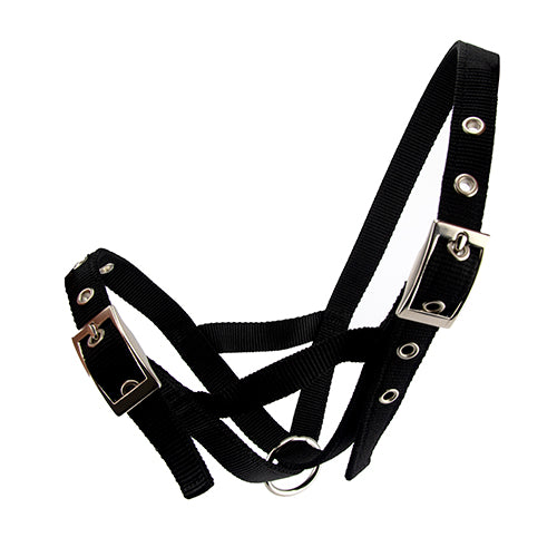 Cattle Halter Webbing Calf - Black