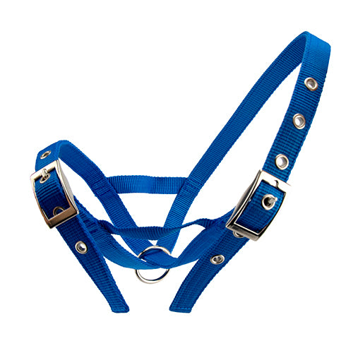 Cattle Halter Webbing Cow - Blue