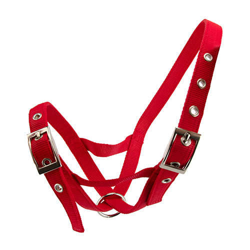 Cattle Halter Webbing Bull - Red