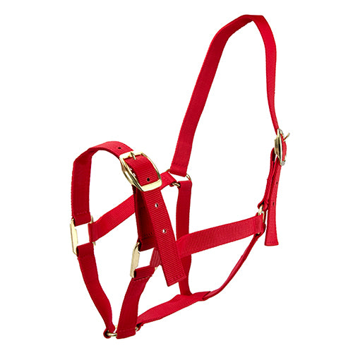 Horse Halter - Cob Red