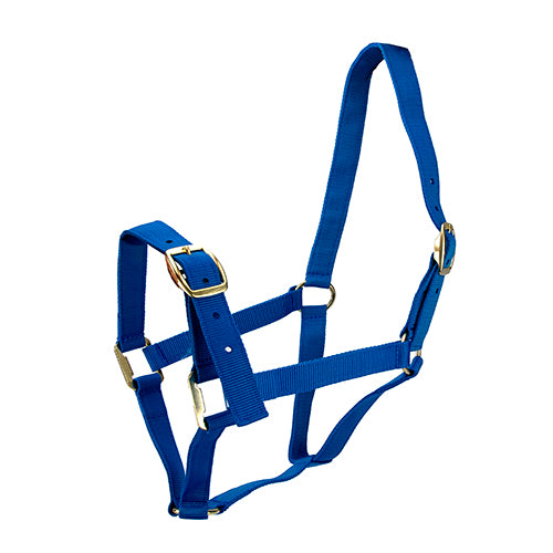 Horse Halter - Full Blue