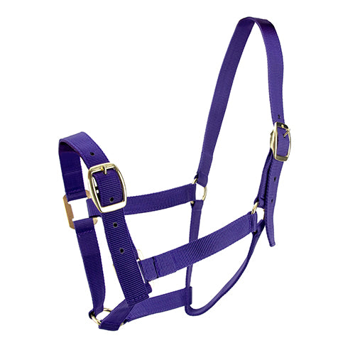 Horse Halter - Full Purple