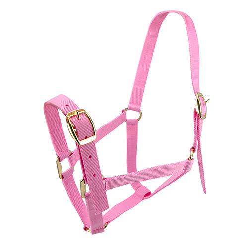 Horse Halter - Pony Pink