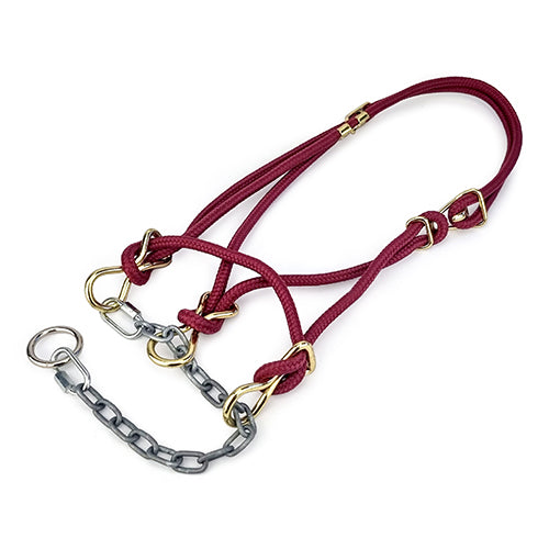 Hackamore Halter Calf - Maroon