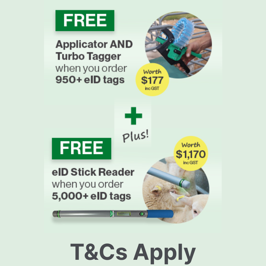 Shearwell NLIS EID Sheep Ear Tags - White (WA Subsidised)