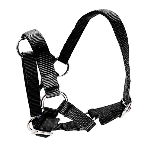 Halter for Alpacas - Black